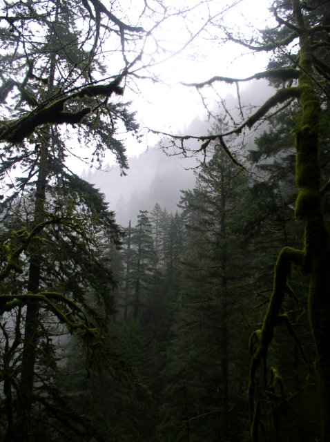 12.27.05 Triple Falls 059 